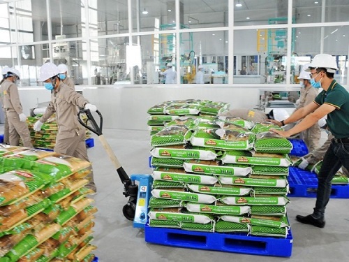 Gạo Việt Nam dẫn đầu thế giới về chất lượng và giá bán